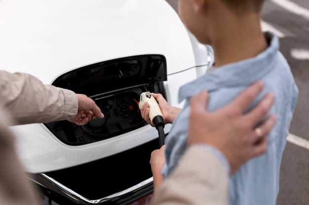Battery Maintenance for Exotic Vehicles