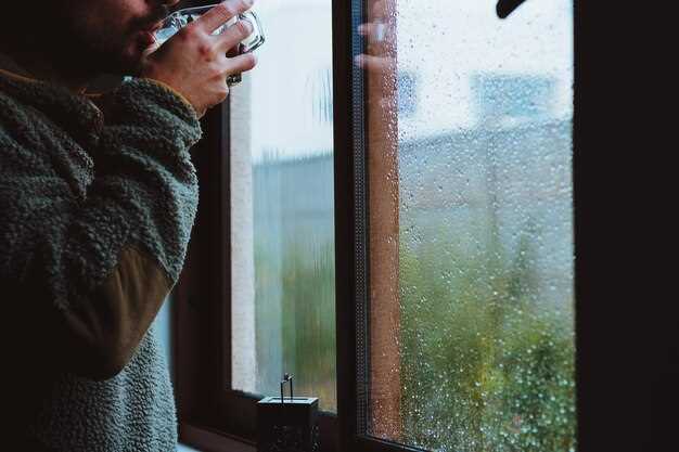 Immediate Techniques to Defog Your Windows